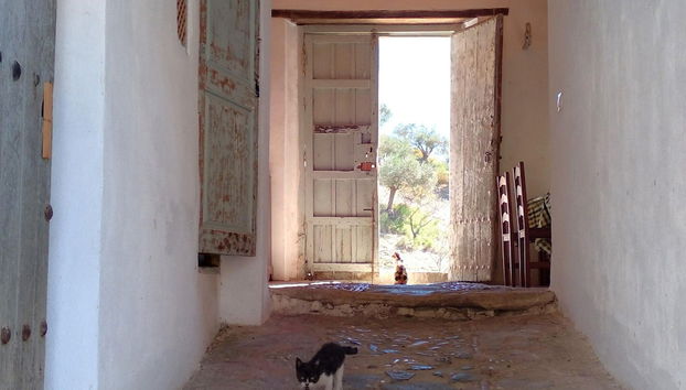 Andalusian Farmhouse for Workshops, Retreats or Events - Foto 2, Recepción