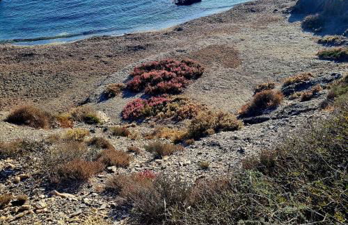 Casa Naturista Con Vistas - Foto 79