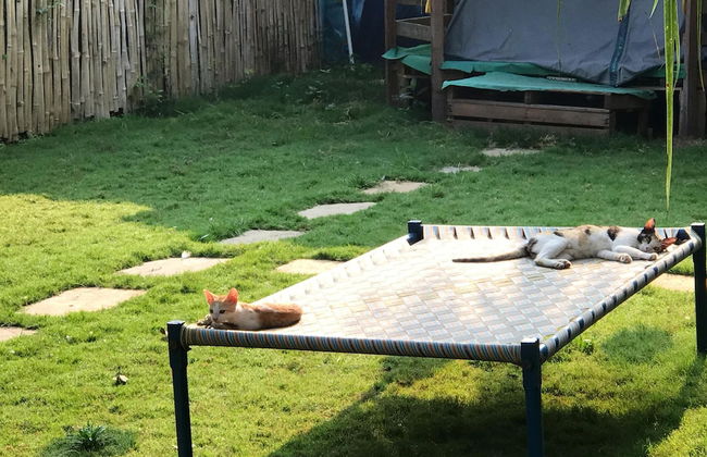 ingawale farmhouse - Photo 25