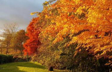 Treeside woodhouse - Foto 45