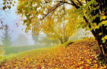 Mazzetti Country House-Vita in campagna con giardino - Foto 44