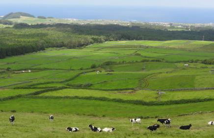 Quinta do Chico Feijão - Photo 23