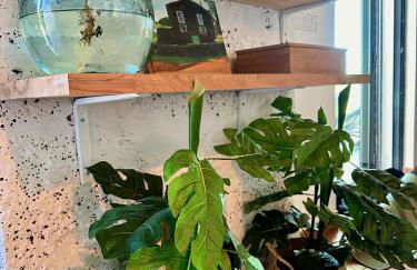 A Casa do Jaime - Photo 37