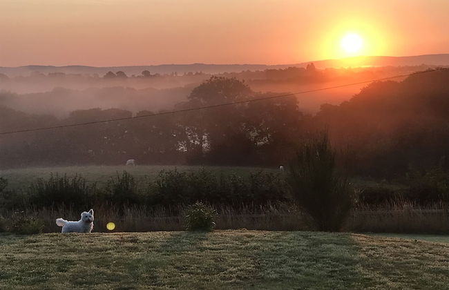 Shepherds Hut-1 Bed-hot Tub -views - Foto 15