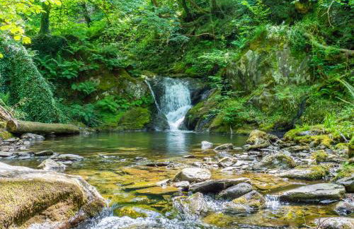 Beautiful Remote Cottage near Dolgellau - Foto 37
