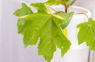 GuestReady - Tranquil Retreat in Nature's Embrace - Foto 14