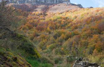 Apartamentos Rurales Casa Marcelo II - Foto 89