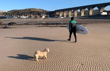 Pear Tree Cottage - Foto 6