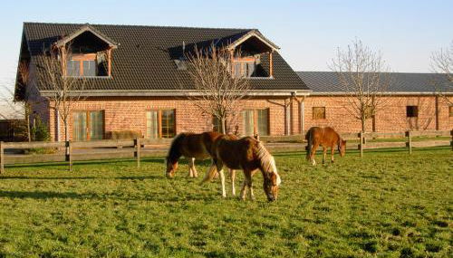 Ferienhof Schattmann - Foto 4