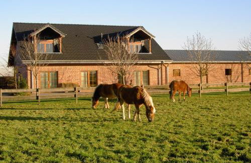 Ferienhof Schattmann - Foto 4