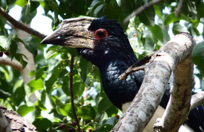 Blyde River Cabin Guesthouse - Foto 22