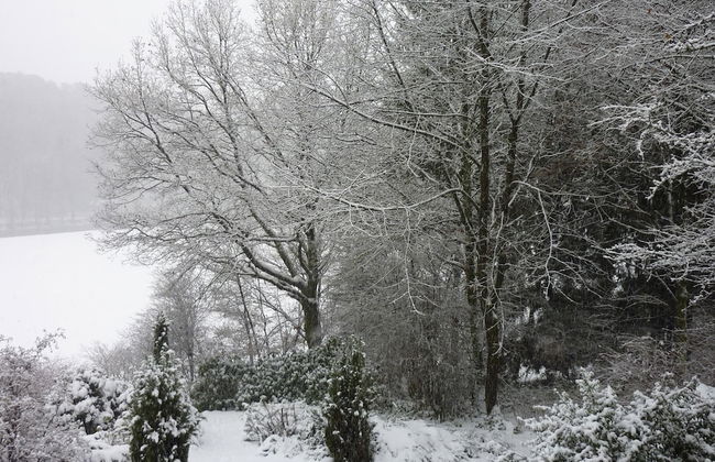 Cozy Escape in Bohon - Photo 22