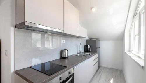 Rudina Apartment near Dubrovnik with the free parking - Foto 4, stove, dishwasher