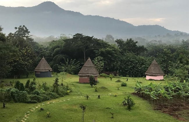 Refuge du Mont Agou - Photo 15