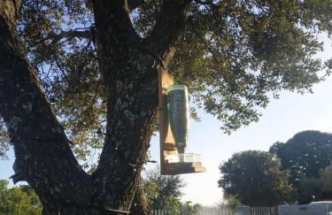 Casa Rural Madre del Agua. Finca El Robledillo - Foto 57