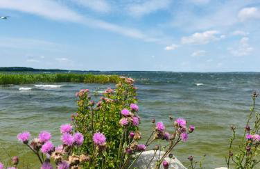 Marina Houses - Foto 34