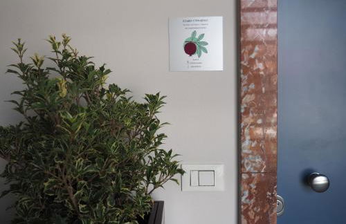 Alloggio il Melograno - Foto 8