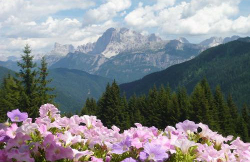 Residence Panorama - Foto 3