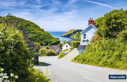 Tri Pysgodyn - Photo 32