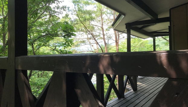 Terraço/pátio interior