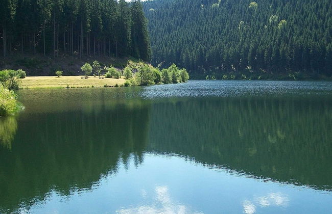 Apartment With Forest in Goldisthal Thuringia - Foto 34