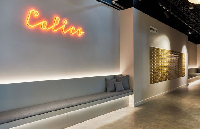 Student Only Calico - Foto 2