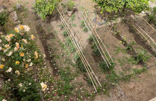 Maison de caractère rénovée Coggia - Foto 12