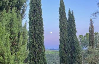 Villa Tre Colli - In The Heart Of Tuscany - Foto 51