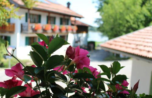 Haus Elfriede Schmid - Foto 19