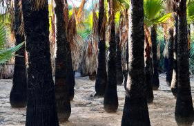 Turquesa del Mar - Charming Ground-Floor Spanish Apartment with Large Sunny Terrace - Foto 24