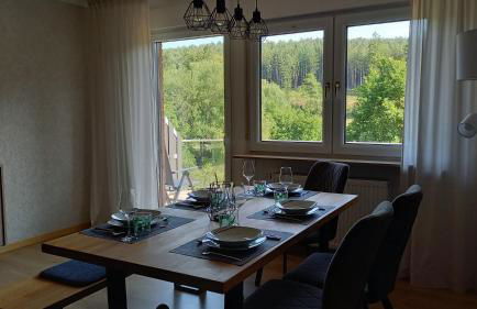 Ferienwohnungen Nibelungenwald - Foto 71