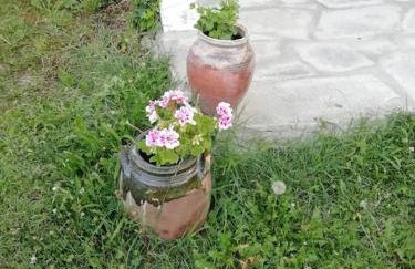 Peaceful cottage with incredible panoramic view - Foto 14