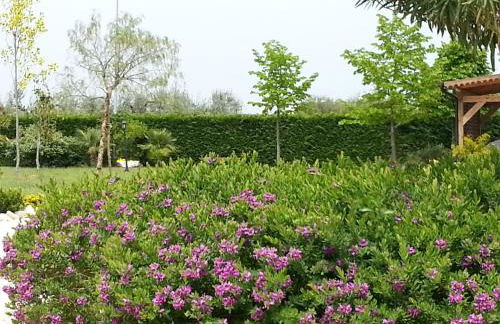 Domus Aurea - Foto 14