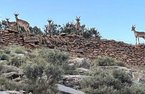 MOLINO DOLZ - Foto 17