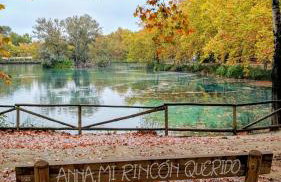 LA CASA AZUL de Anna - Photo 23