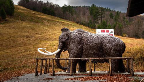 Elation Rooms - Foto 5