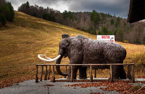 Elation Rooms - Foto 5