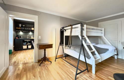 Villa Schloss Rimsingen Fine Apartments - Foto 24