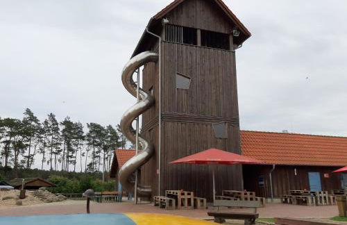 Wald und Wohlsein - Foto 57