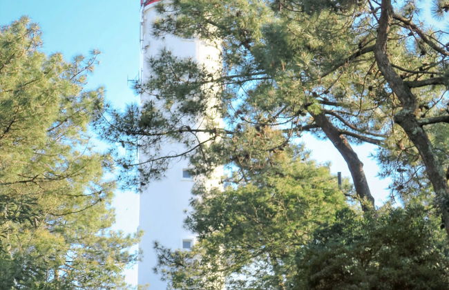 Las Delicias - Foto 21