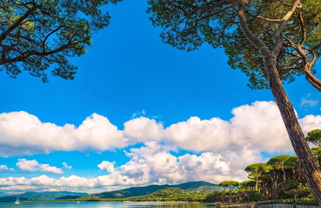 Villetta Il Pino - Foto 36