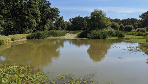 The Barn New Forest Free Paddle boarding & free Zip wire. - Foto 5