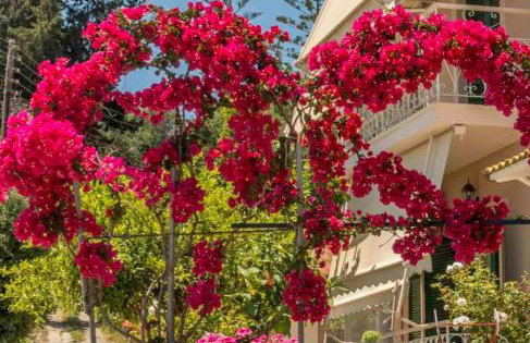 Vicky's Guesthouse - Foto 24