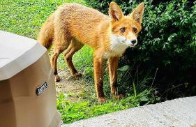 Home La Sierra with WHIRLPOOL BATH for two - Foto 5