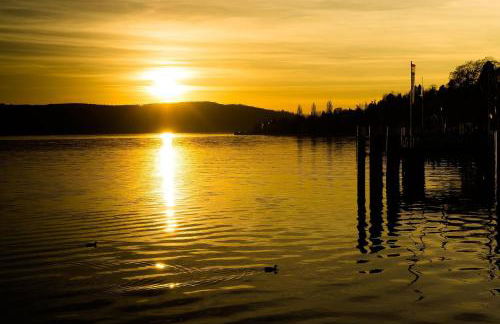 Ferienhof Dreher - Foto 12