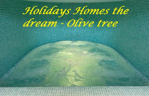 Holidays Homes The dream - Foto 20