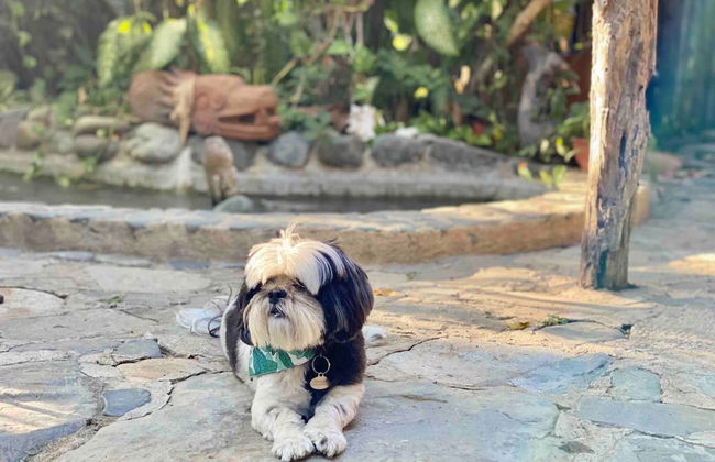 Villa Palomas A Unos Pasos De Playa La Ropa - Foto 42