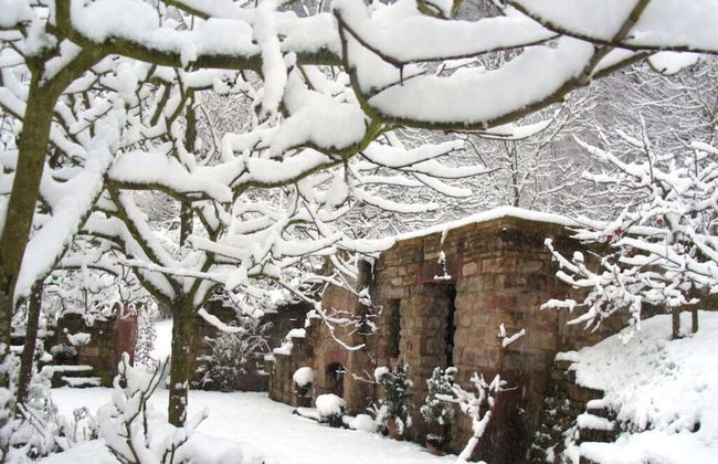 Pfaelzerleben - Foto 12