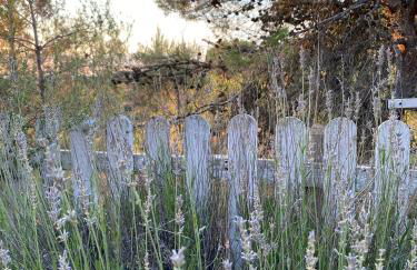 Alcarria , Casa del Agua - Foto 40