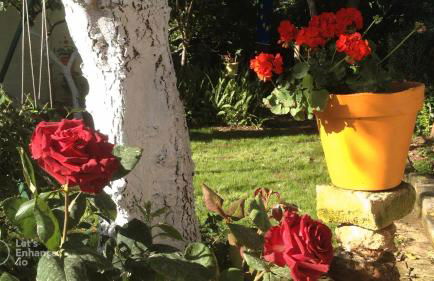 Zagara di Sicilia - Foto 12